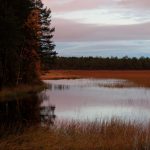 Nydala Lake Umeå Schweden