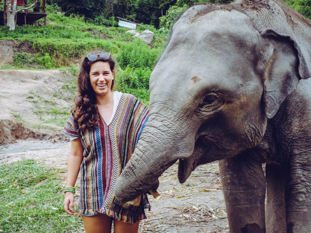 Thailand Elephant Sanctuary Chiang Mai